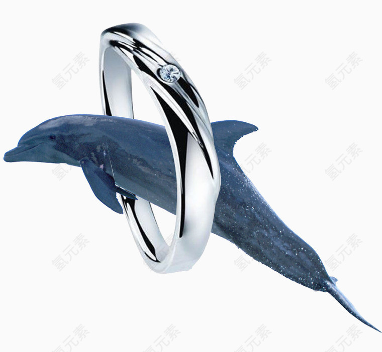 海豚戒指珠宝首饰
