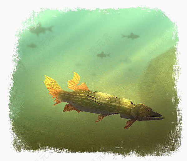 手绘撕边效果海洋鱼背景图案
