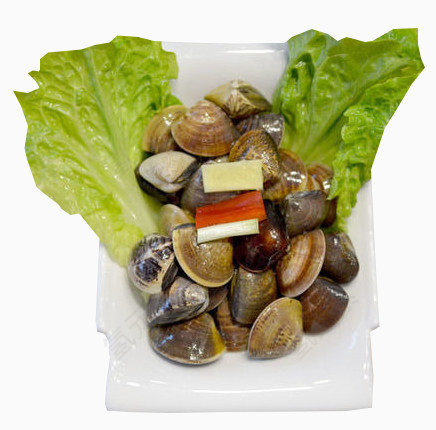 贝壳映衬于生菜旁