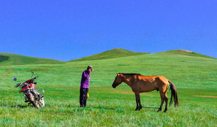 内蒙古草原风景