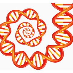 人体DNA遗传物质链