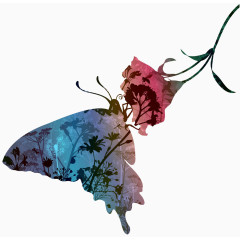 梦幻蝴蝶与花朵