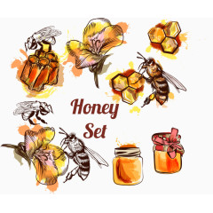 矢量蜜蜂与蜂蜜