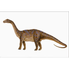 长尾巴恐龙