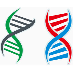欧式可爱彩色DNA基因链矢量图