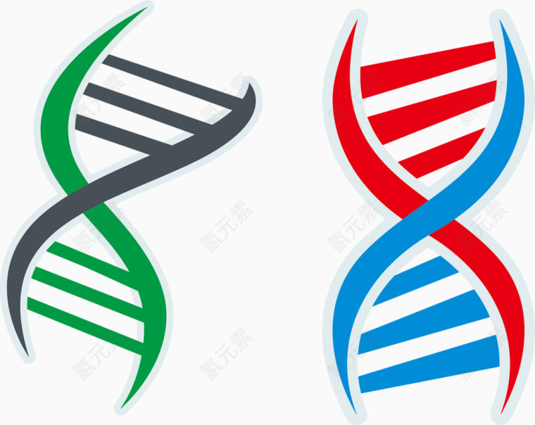 欧式可爱彩色DNA基因链矢量图