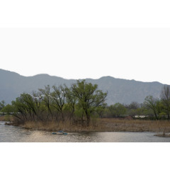 北京稻香湖春天风景