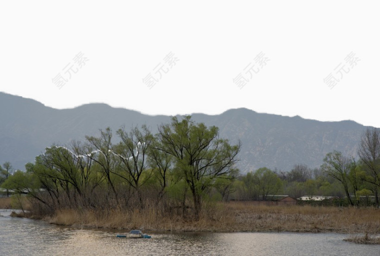 北京稻香湖春天风景