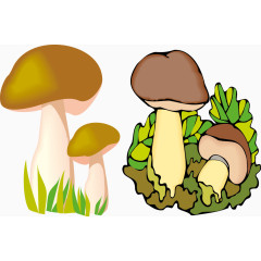 蘑菇组图