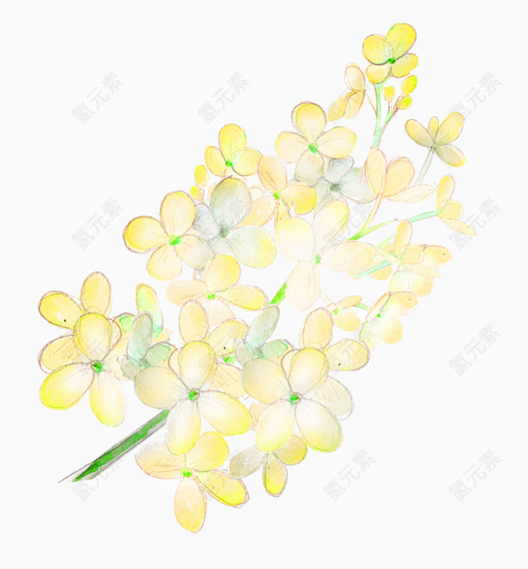 唯美清新森系手绘黄色花朵