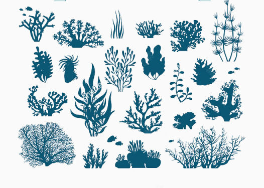 珊瑚和藻类的蓝色轮廓下载