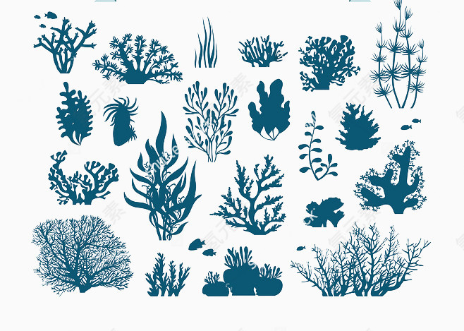 珊瑚和藻类的蓝色轮廓