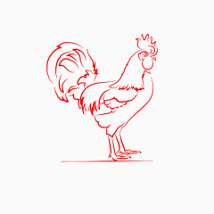 绘画公鸡