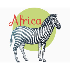手绘卡通非洲陆上斑马动物