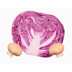 紫色包菜素材
