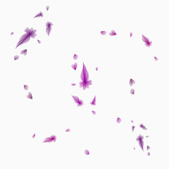 紫色花卉飞舞漂浮素材
