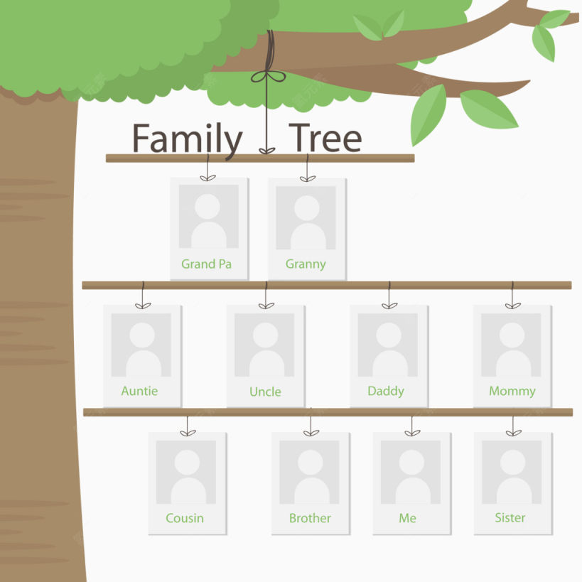 矢量相框树挂在树枝上下载