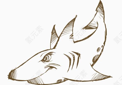 矢量手绘咖啡色鲨鱼