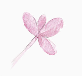 彩色铅笔粉色花