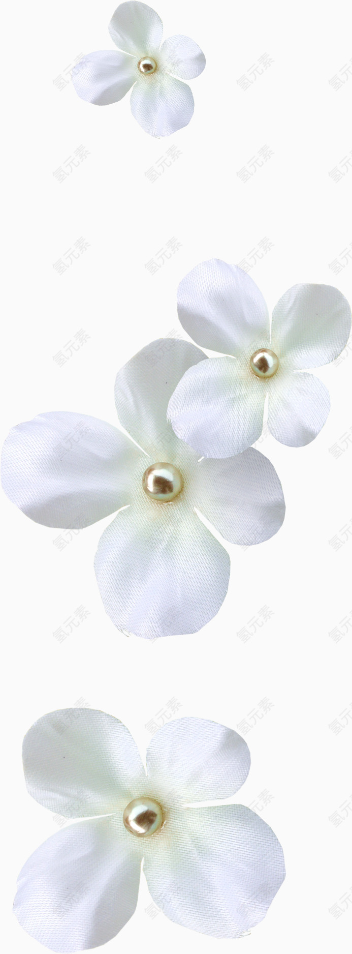 白色漂亮装饰花朵