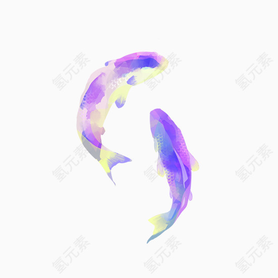 紫色锦鲤