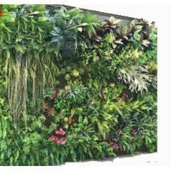绿色的各种花等植物的墙