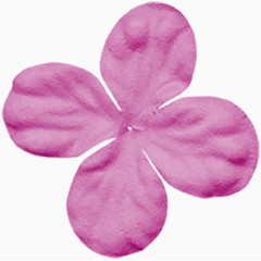 紫花免抠图片