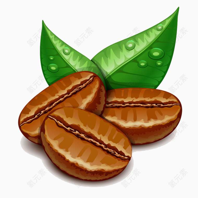 咖啡豆和带水珠的绿叶