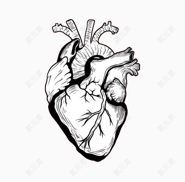 黑色手绘心脏图