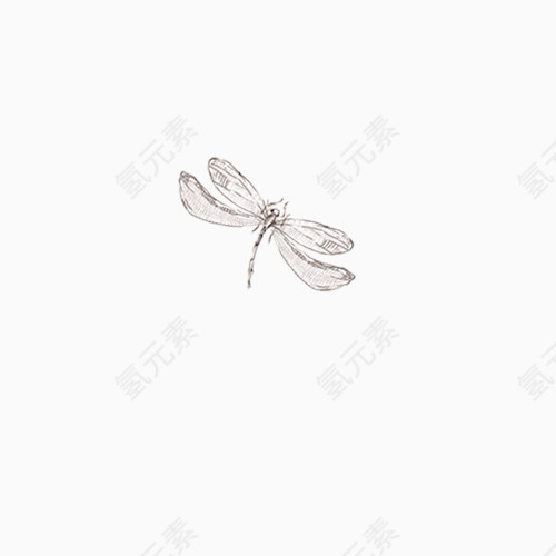 一只手绘灰色蜻蜓