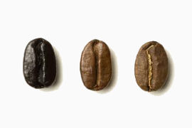 咖啡豆素材