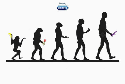 杜蕾斯猿人进化过程下载