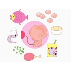 胎宝宝食谱卡通