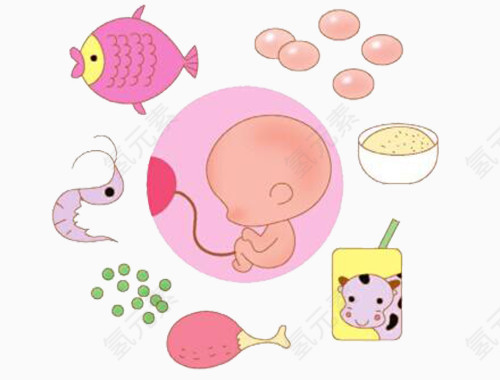 胎宝宝食谱卡通