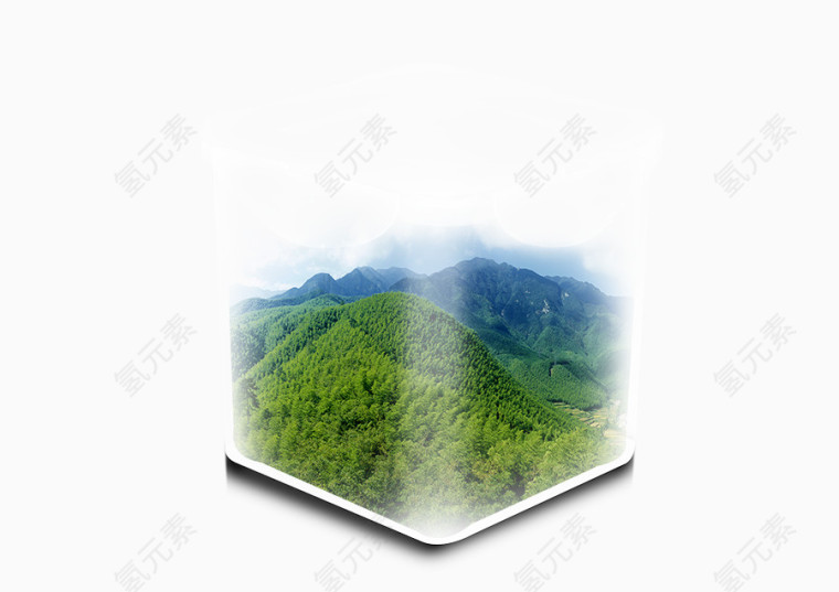 温室树林图片