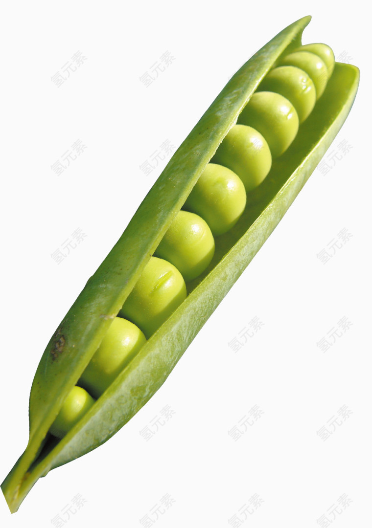 青豌豆豆荚