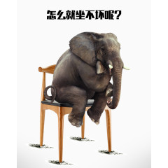 椅子广告
