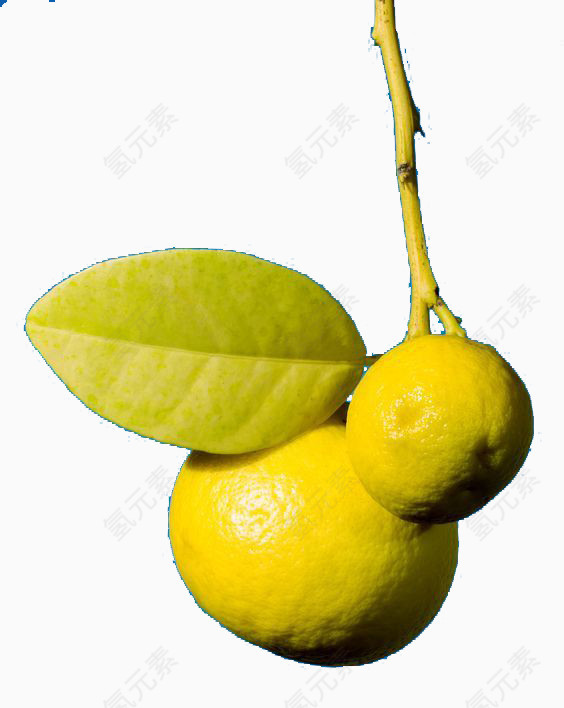 黄色水果