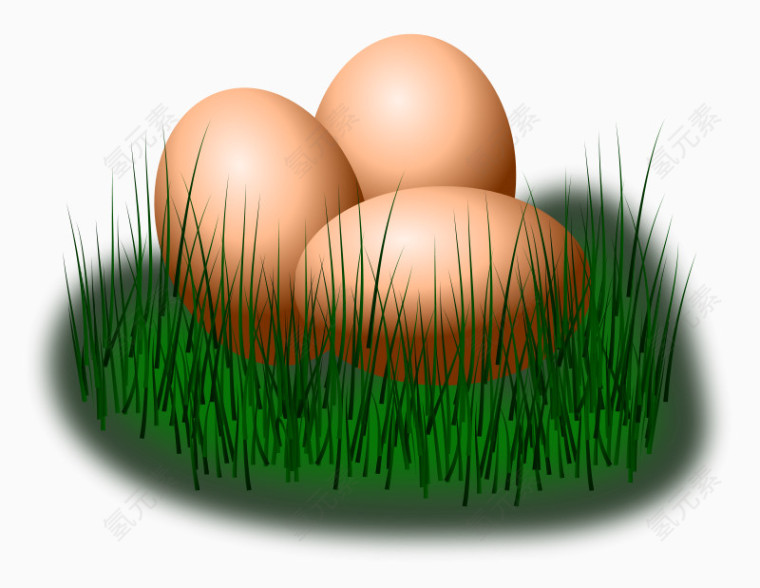 草里的鸡蛋