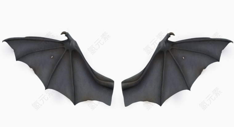 灰色蝙蝠翅膀