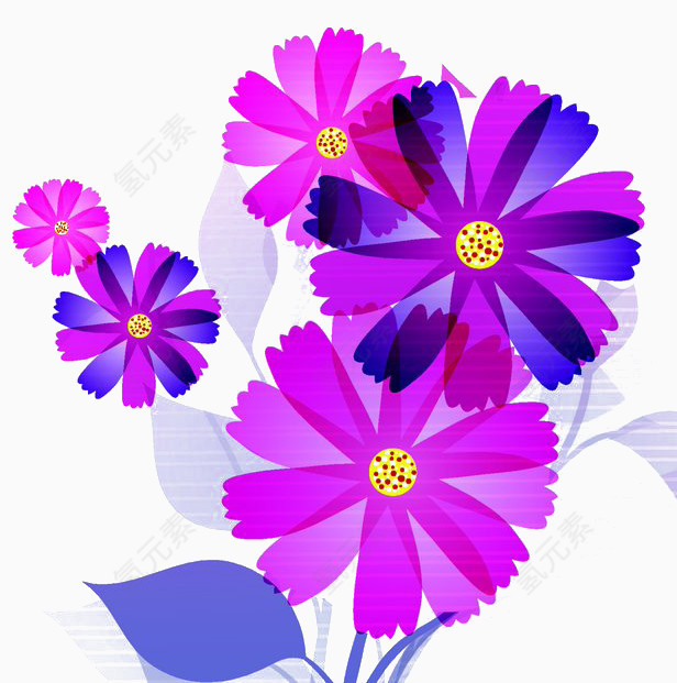 粉紫色鸡冠花