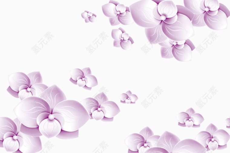 紫色鸳鸯花