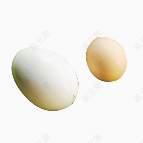 大鹅蛋小鸡蛋图片素材