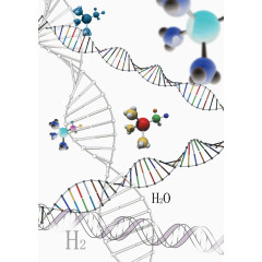 化学元素二氧化碳水分子