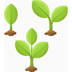 矢量植物成长过程插图