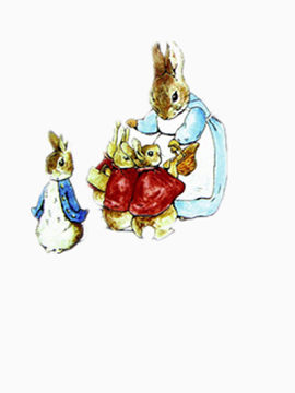 兔子的母爱