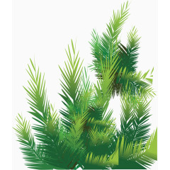卡通手绘绿色热带针叶植物矢量图