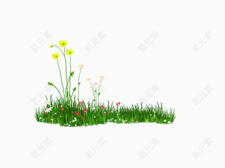 草地上的小花免抠素材
