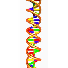 彩色立体DNA双螺旋基因链