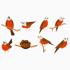 矢量图八种姿势的鸟